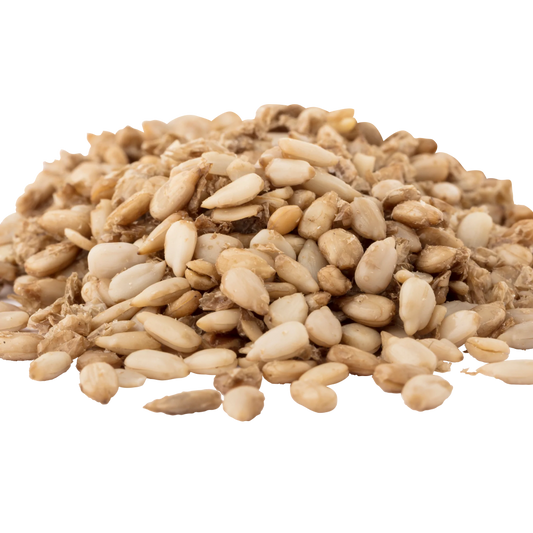 Organic Sprouted Sunflower Seeds With Sea Salt Go Raw