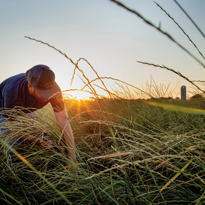 Patagonia Provisions Regenerative Organic Agriculture