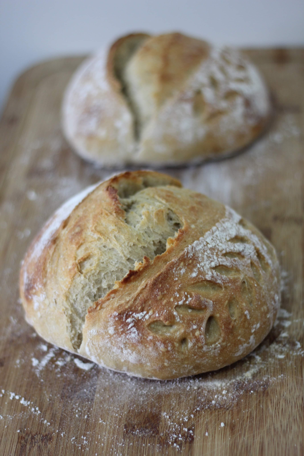 Round Bread Loaves Baked With Red Star Yeast From Terra Powders Market