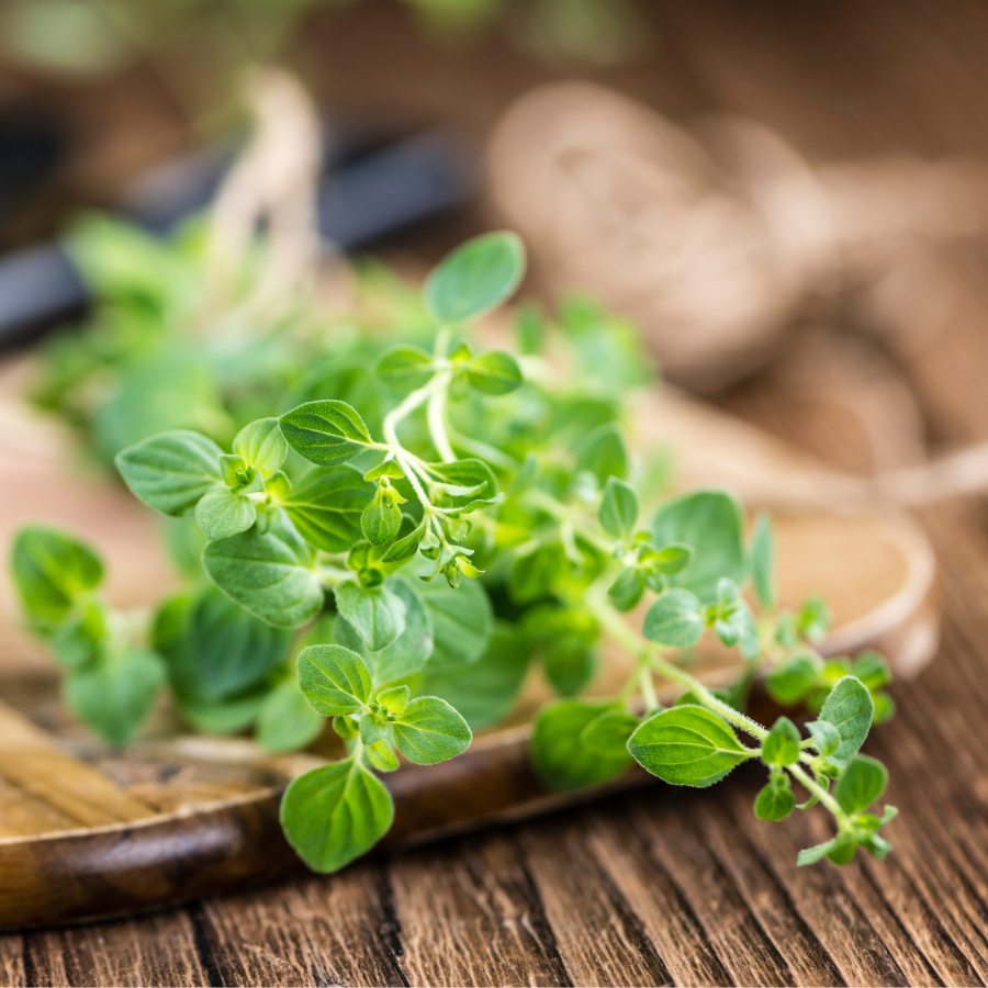 Fresh Picked Herbs Organic Oregano