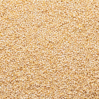 Organic Antique White Quinoa Lundberg Family Farms